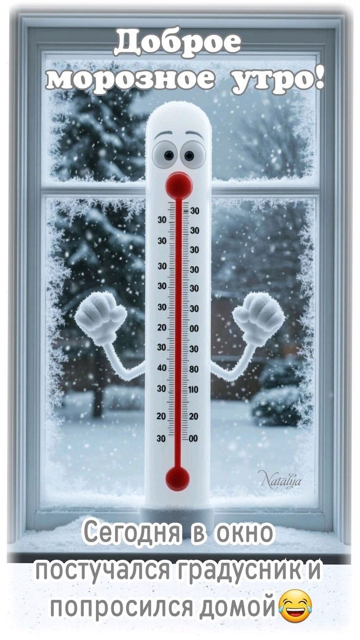Доброе морозное утро! Сегодня в окно постучался градусник и попросился домой 😂