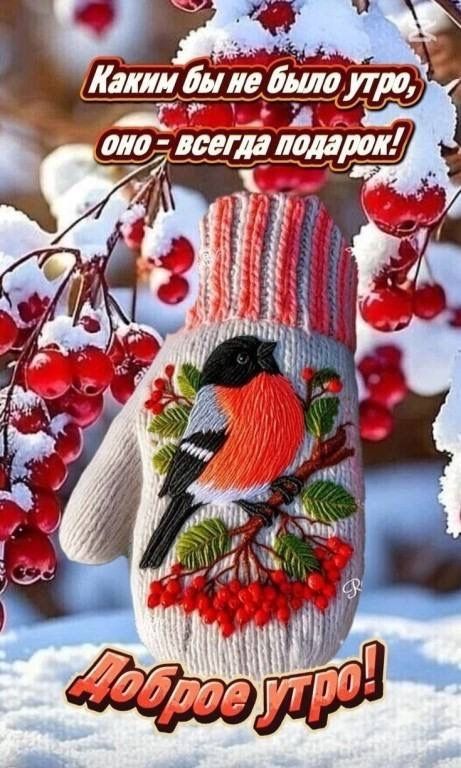 Как бы ни было утро, оно - всегда подарок! Доброе утро!