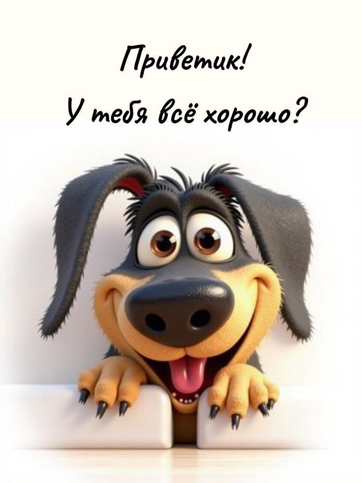 Приветик! У тебя всё хорошо?