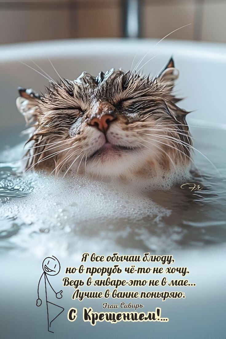 С Крещением!...