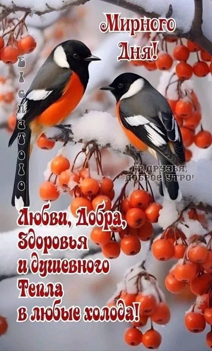 Мирного Дня! Любви, Добра, Здоровья и душевного тепла в любые хлопоты!
