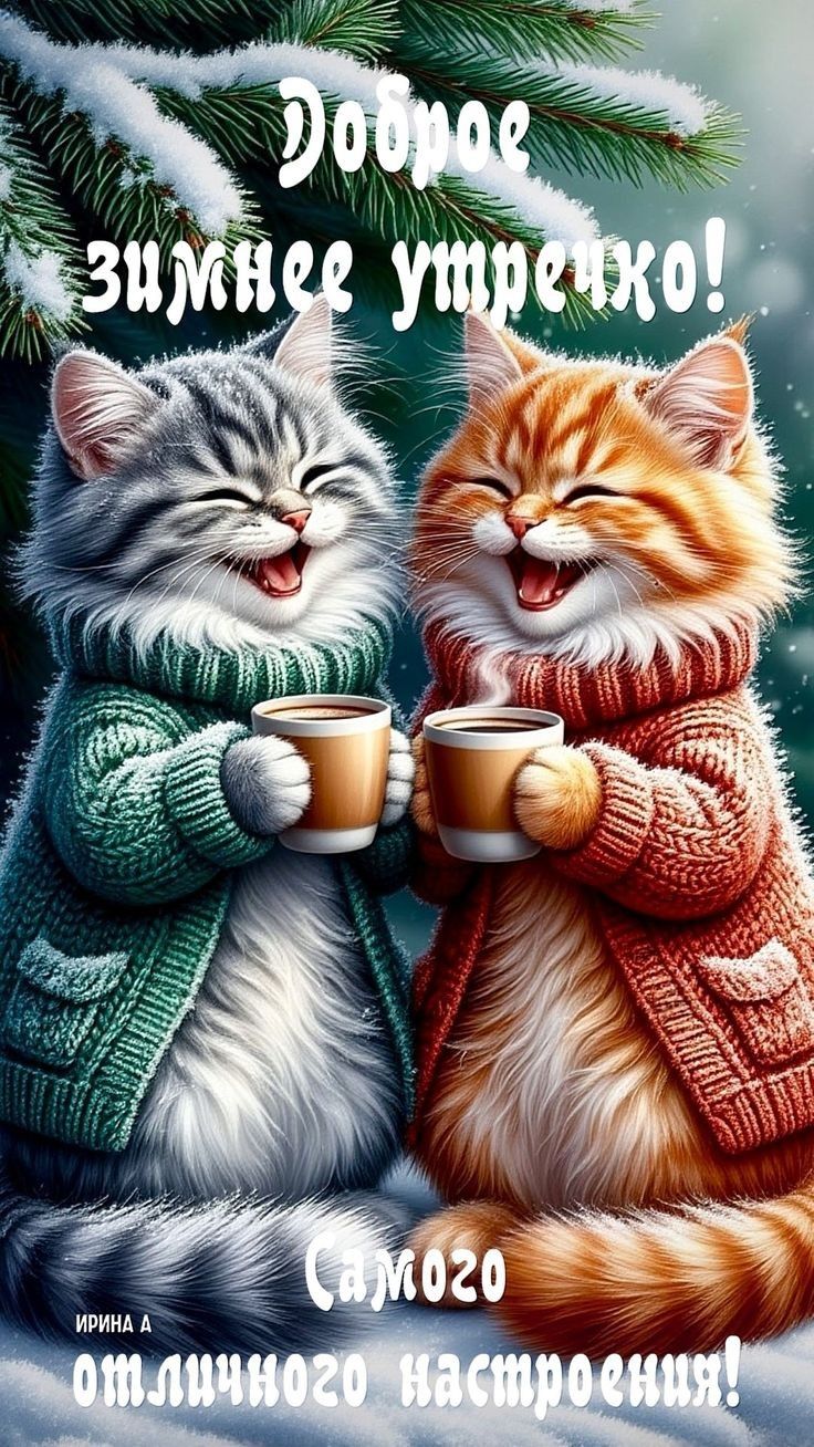 Доброе зимнее утречко! Самого отличного настроения!