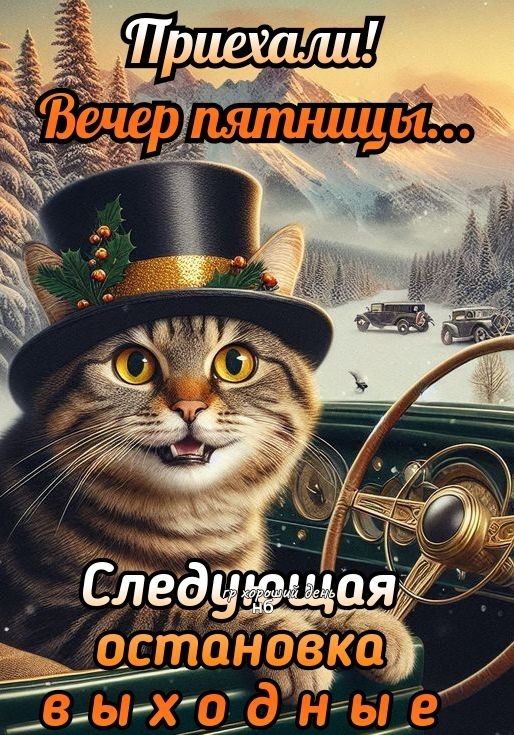 Прихали! Вечер пятницы... Следующая остановка выходные