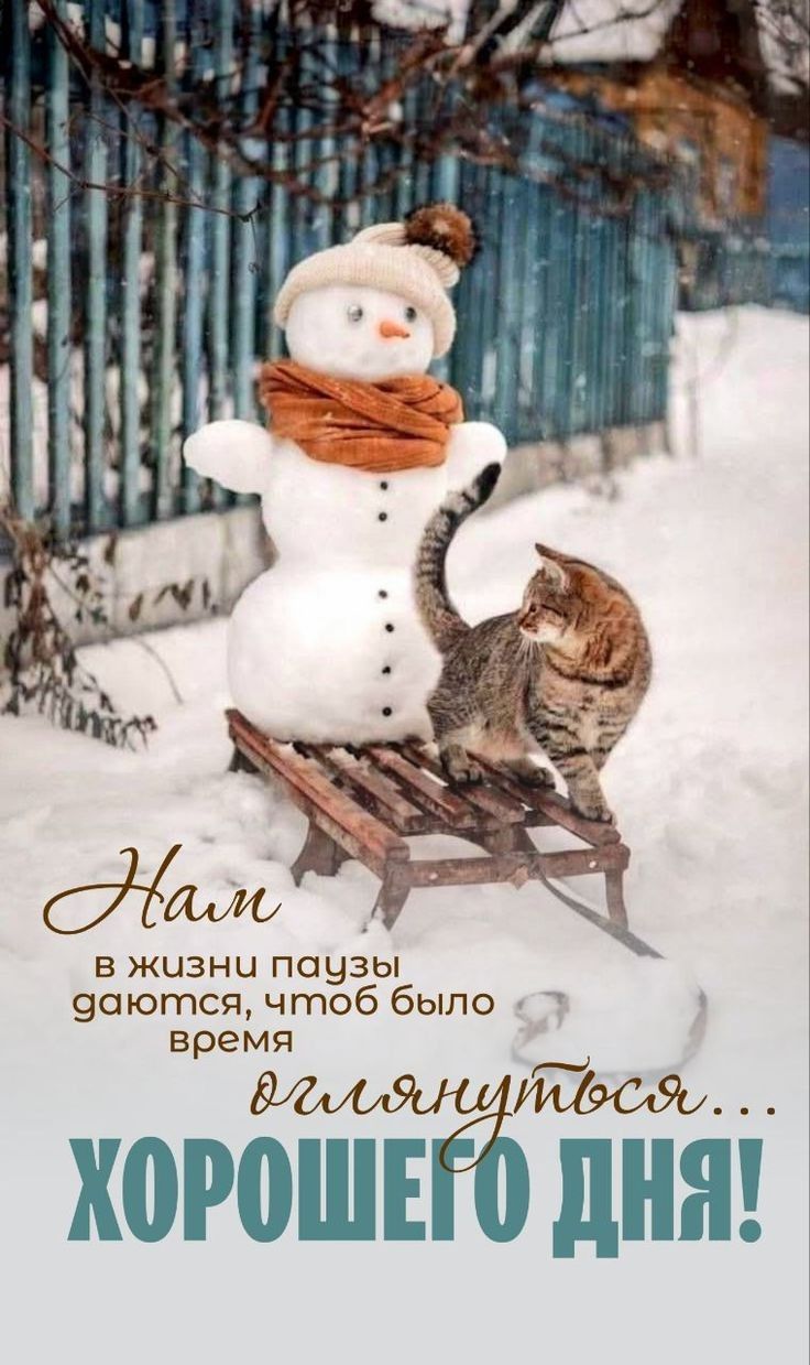 Нам в жизни паузы даются, чтоб было время оглянуться... ХОРОШЕГО ДНЯ!