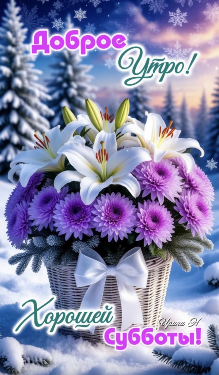 Доброе утро! Хорошей субботы!