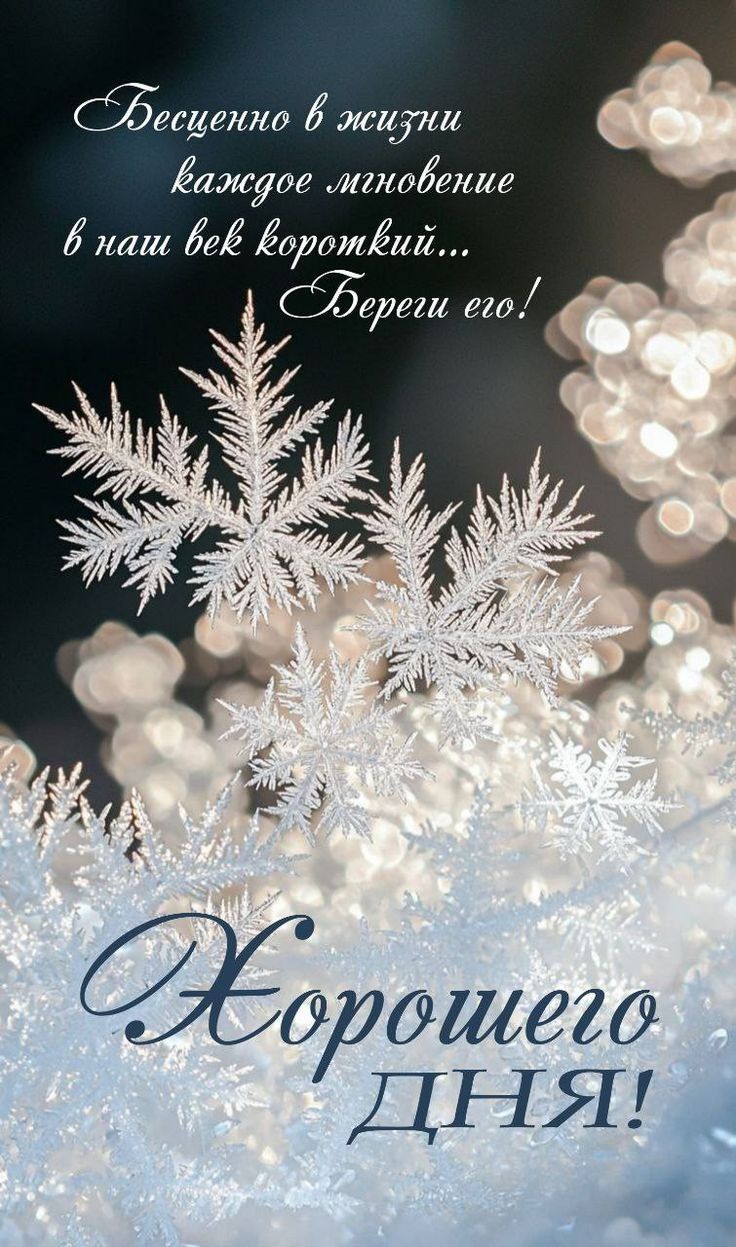 Бесценно в жизни каждое мгновение в наш век короткий... Береги его! Хорошего дня!