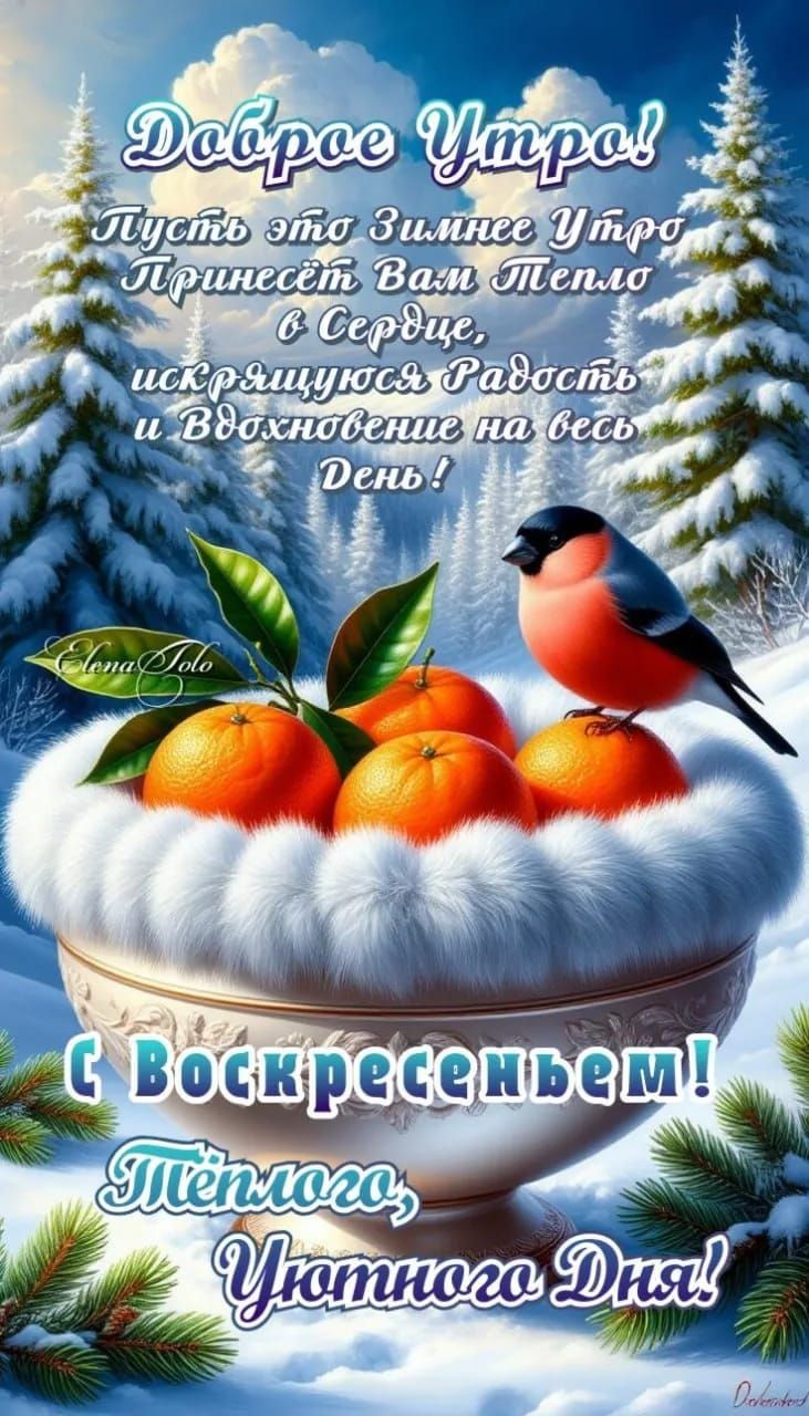 Доброе Утро! Пусть это Зимнее Утро Принесёт Вам Тепло в сердце, искрящуюся Радость и Вдохновение на весь День! С Воскресеньем! Тёплого, Уютного Дня!