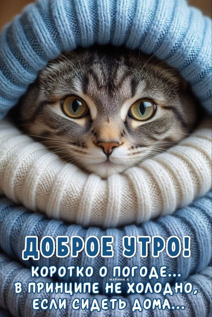 ДОБРОЕ УТРО! КОРОТКО О ПОГОДЕ... В ПРИНЦИПЕ НЕ ХОЛОДНО, ЕСЛИ СИДЕТЬ ДОМА...