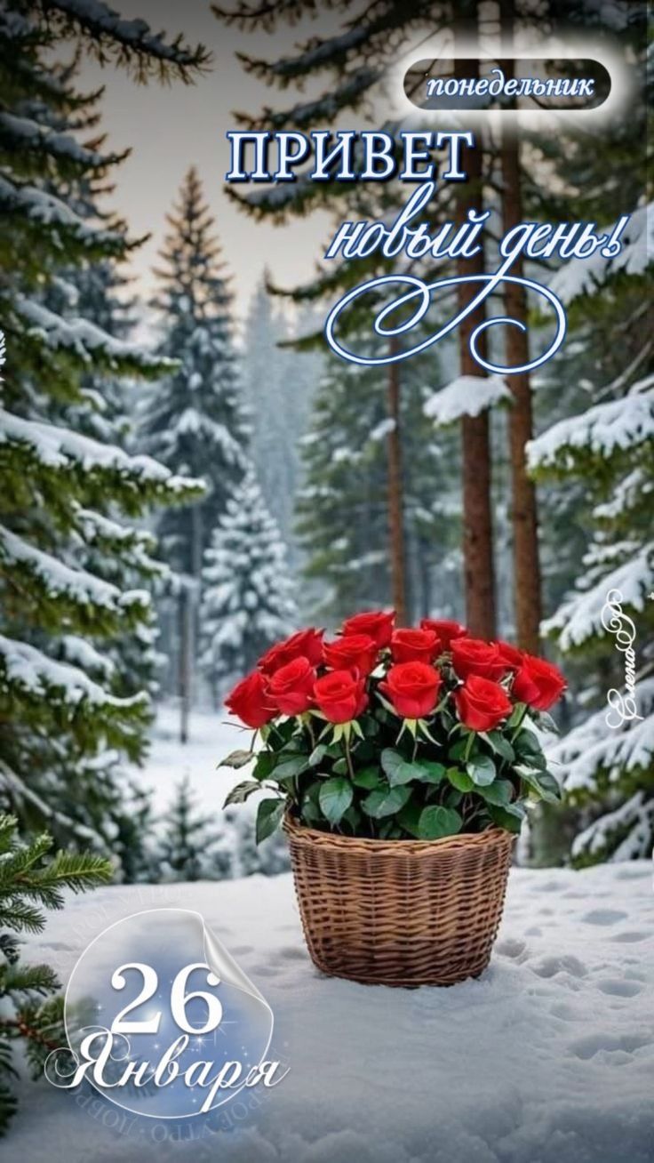 понедельник
ПРИВЕТ новый день!
26 Января