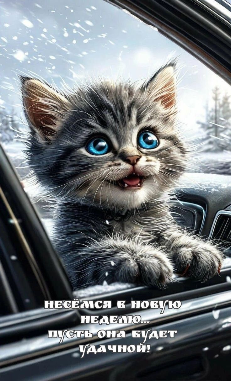 НЕСЁМСЯ В НОВУЮ НЕДЕЛЮ... ПУСТЬ ОНА БУДЕТ УДАЧНОЙ!