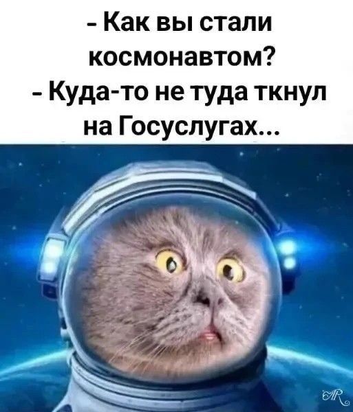 - Как вы стали космонавтом?
- Куда-то не туда ткнул на Госуслугах...