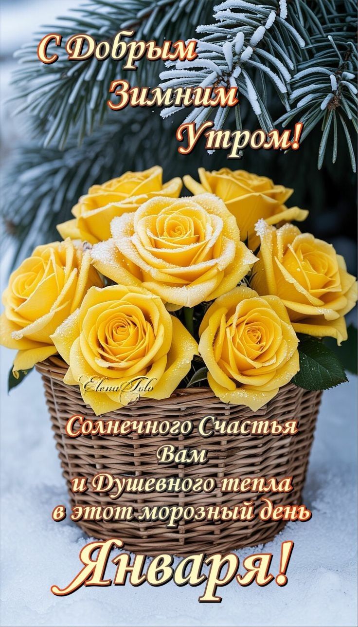 С Добрым Зимним Утром! Солнечного Счастья Вам и Душевного тепла в этот морозный день Января!