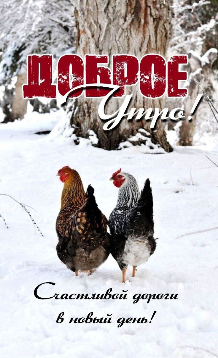 Доброе утро! Счастливой дороги в новый день!