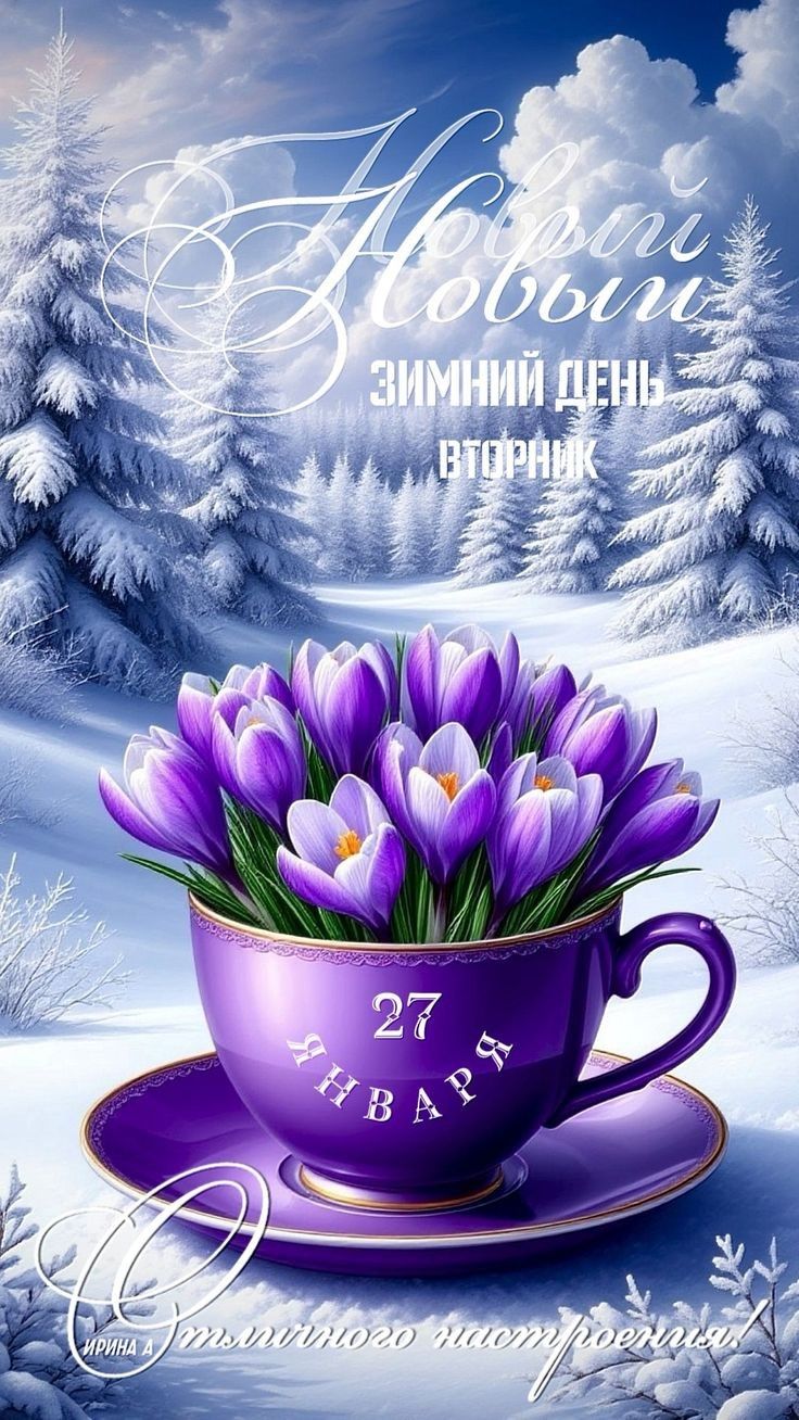 С Новым годом. Зимний день. Вторник. 27 января. 