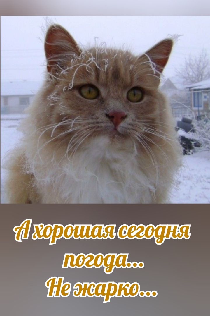 Ах хорошая сегодня погода... Не жарко...