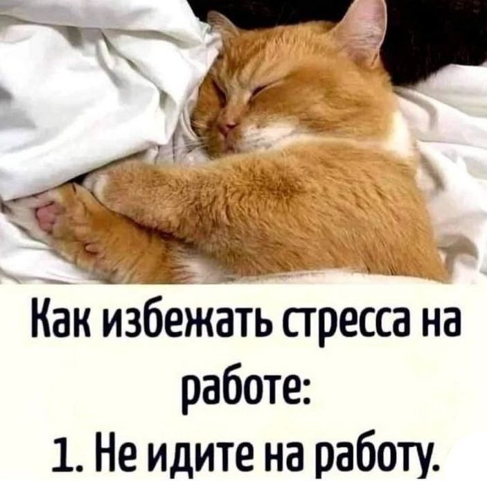 Как избежать стресса на работе: 1. Не идите на работу.