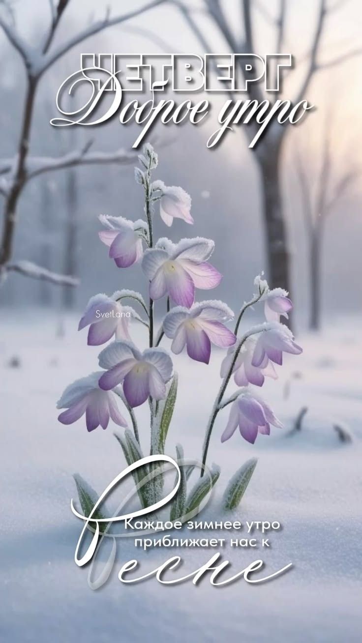 Четверг Доброе утро. Каждое зимнее утро приближает нас к весне