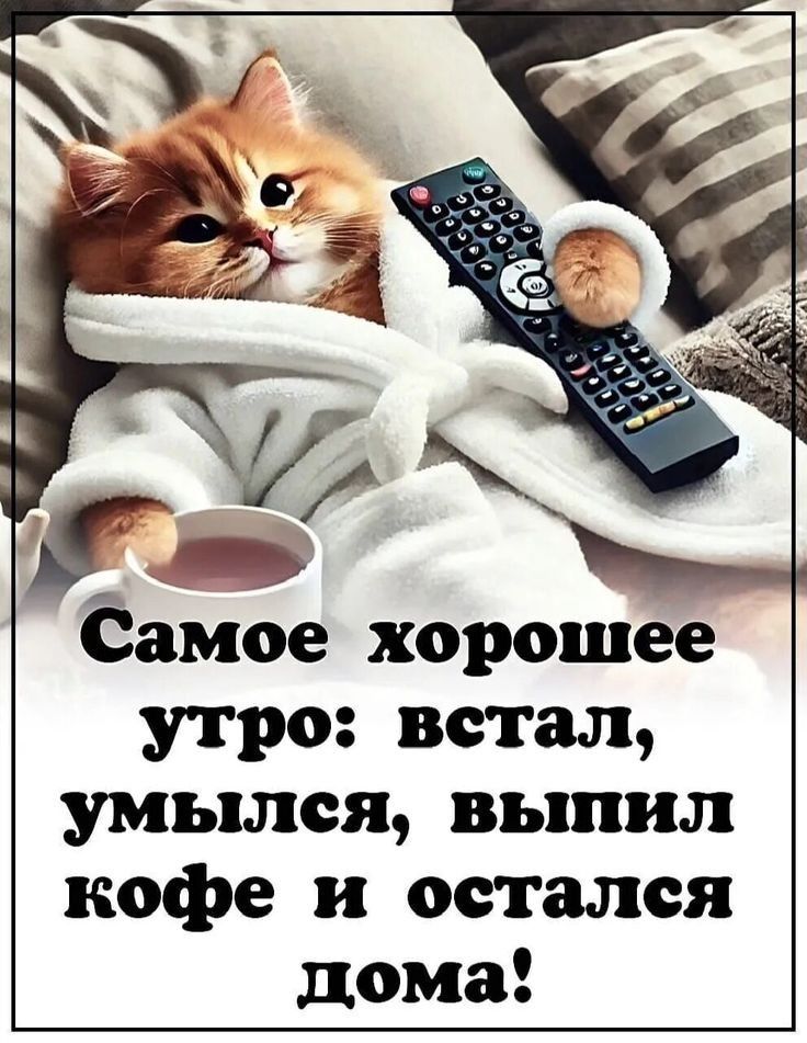 Самое хорошее утро: встал, умылся, выпил кофе и остался дома!
