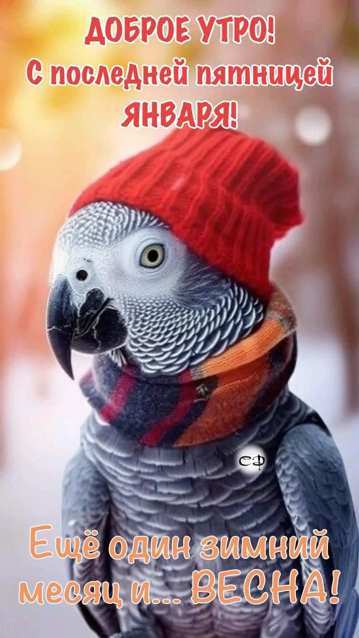 Доброе утро! С последней пятницей января! Ещё один зимний месяц и... ВЕСНА!