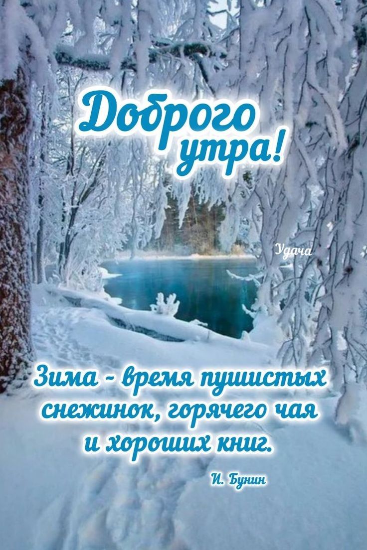 Доброго утра! Зима - время пушистых снежинок, горячего чая и хороших книг. И. Бунин