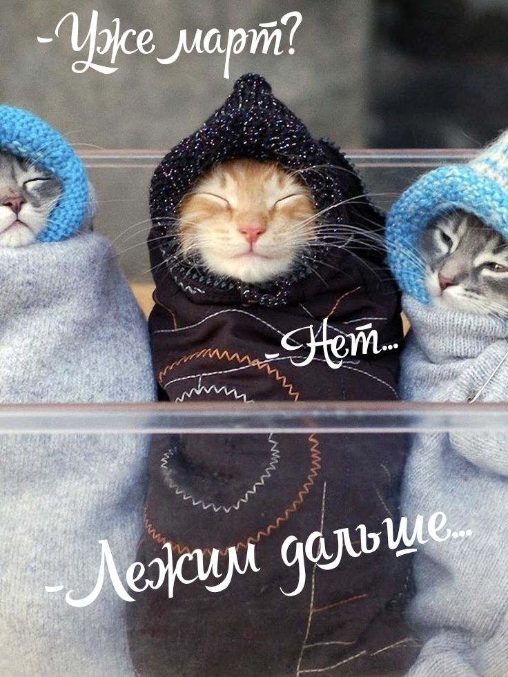 Уже май? Нет... Лежим дальше...