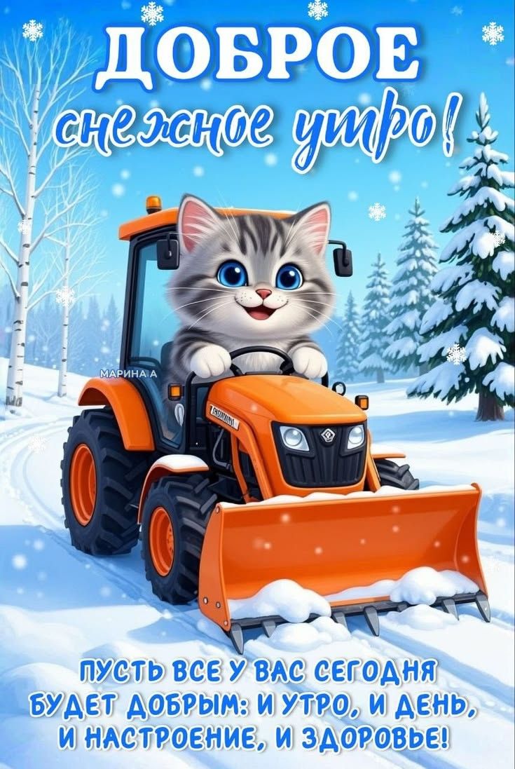 ДОБРОЕ снежное утро! Пусть все у вас сегодня будет добрым: и утро, и день, и настроение, и здоровье!
