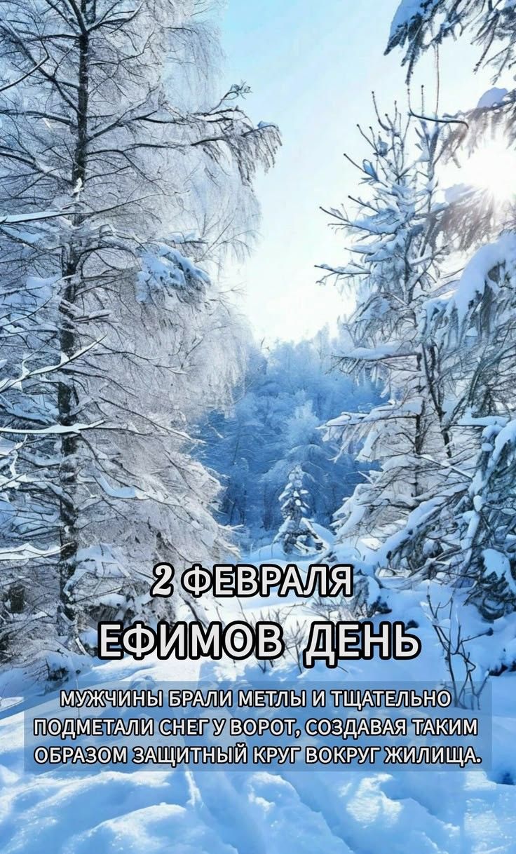 2 ФЕВРАЛЯ ЕФИМОВ ДЕНЬ МУЖЧИНЫ БРАЛИ МЕТЛЫ И ТЩАТЕЛЬНО ПОДМЕТАЛИ СНЕГ У ВОРОТ, СОЗДАВАЯ ТАКИМ ОБРАЗОМ ЗАЩИТНЫЙ КРУГ ВОКРУГ ЖИЛИЩА.