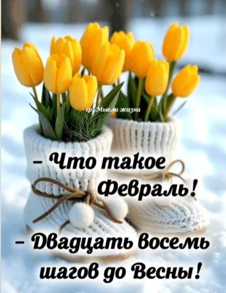 - Что такое февраль! - Двадцать восемь шагов до Весны!
