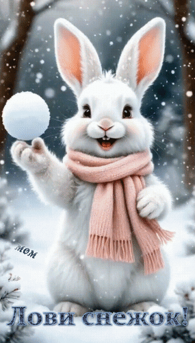 Лови снегок!