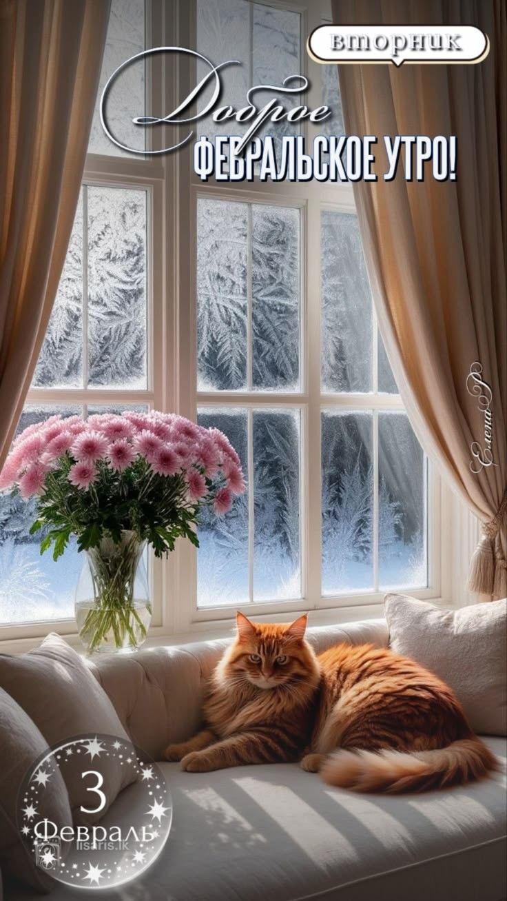Доброе ФЕВРАЛЬСКОЕ УТРО! вторник 3 Февраль