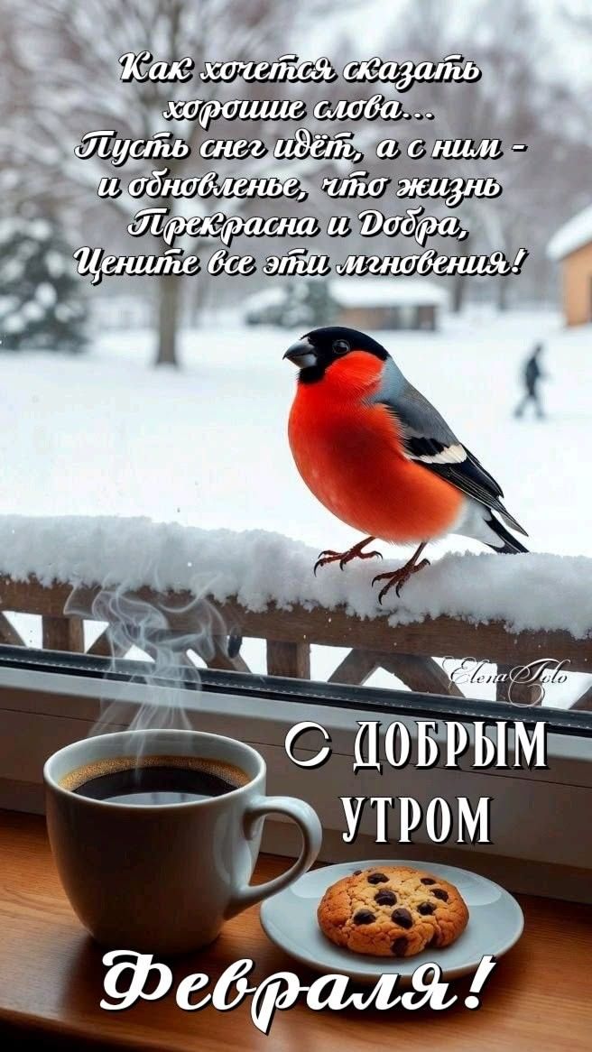 Как хочется сказать хорошие слова... Пусть снег идёт, а с ним обновленье, чтоб жизнь прекрасна и добра, цените все эти мгновения! С добрым утром февраля!