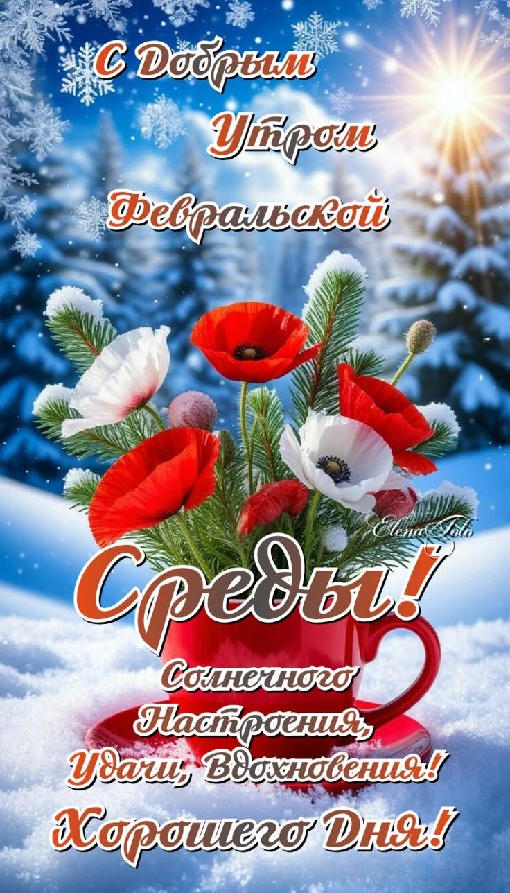 С Добрым Утром Февральской
Среды!
Солнечного настроения, удачи, вдохновения!
Хорошего дня!