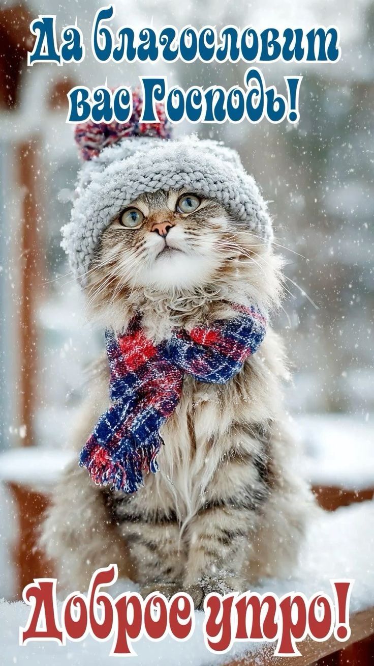 Да благословит вас Господь! Доброе утро!
