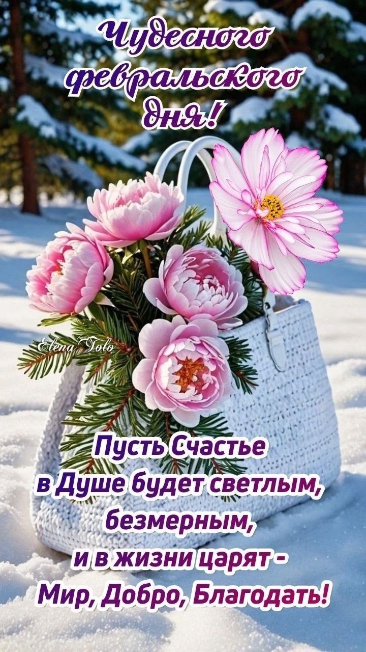 Чудесного февраля дня! Пусть счастье в душе будет светлым, безмерным, и в жизни царят - Мир, Добро, Благодать!
