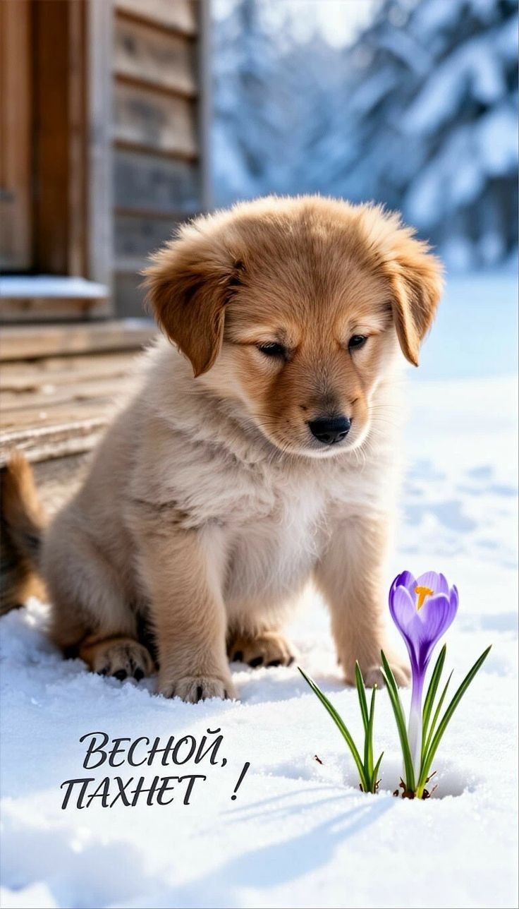 Весной пахнет!