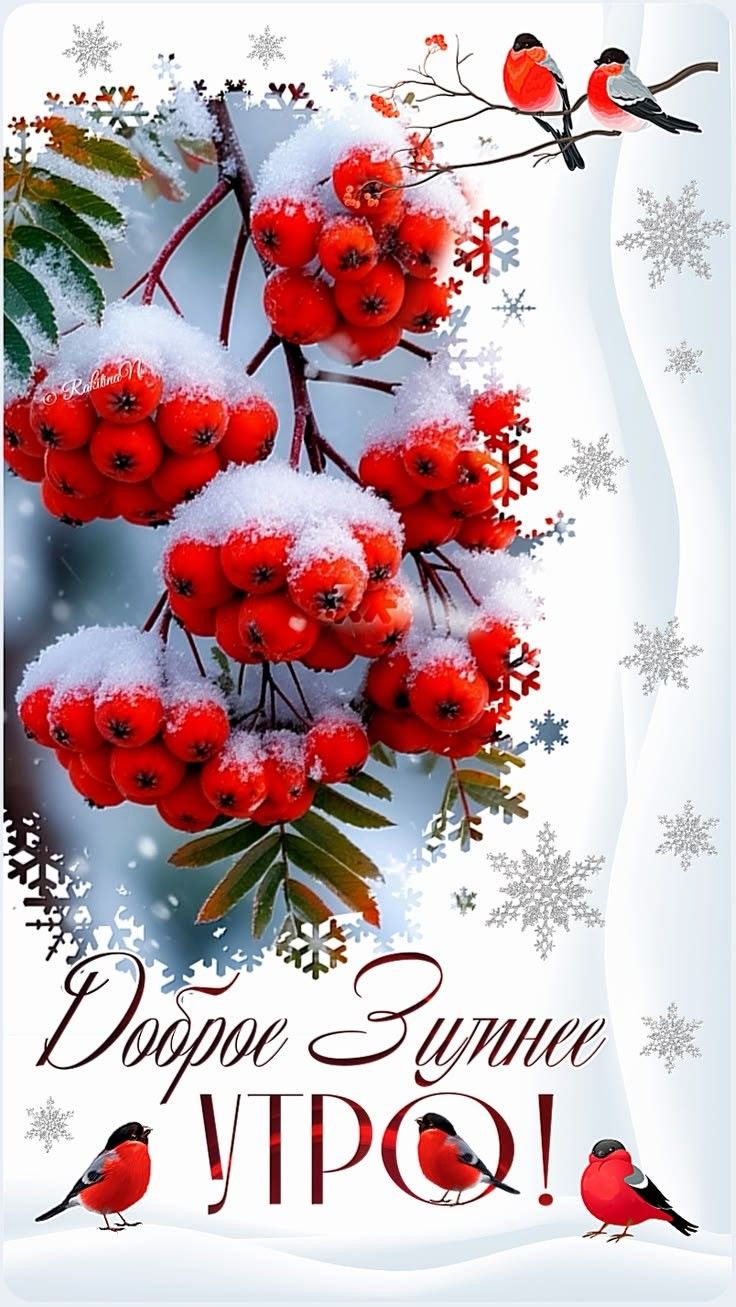Доброе Зимнее Утро!