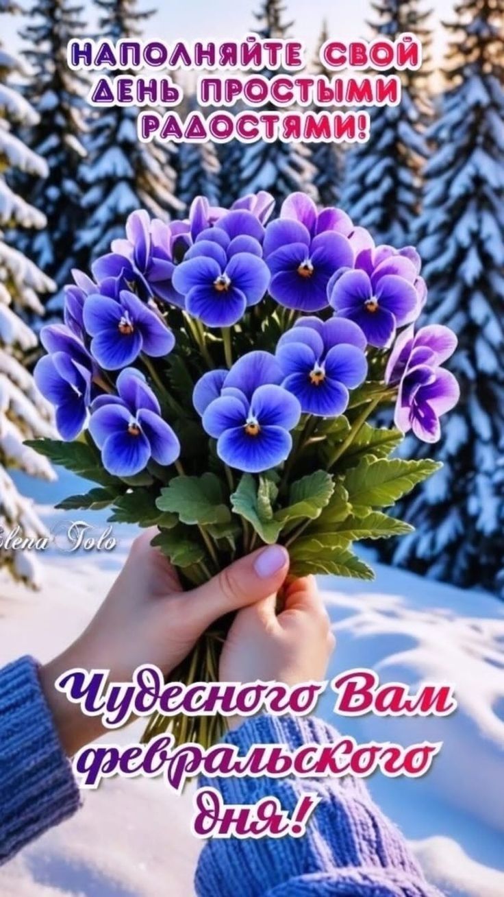 НАПОЛНЯЙТЕ СВОЙ ДЕНЬ ПРОСТЫМИ РАДОСТЯМИ! Чудесного Вам февраляльского дня!