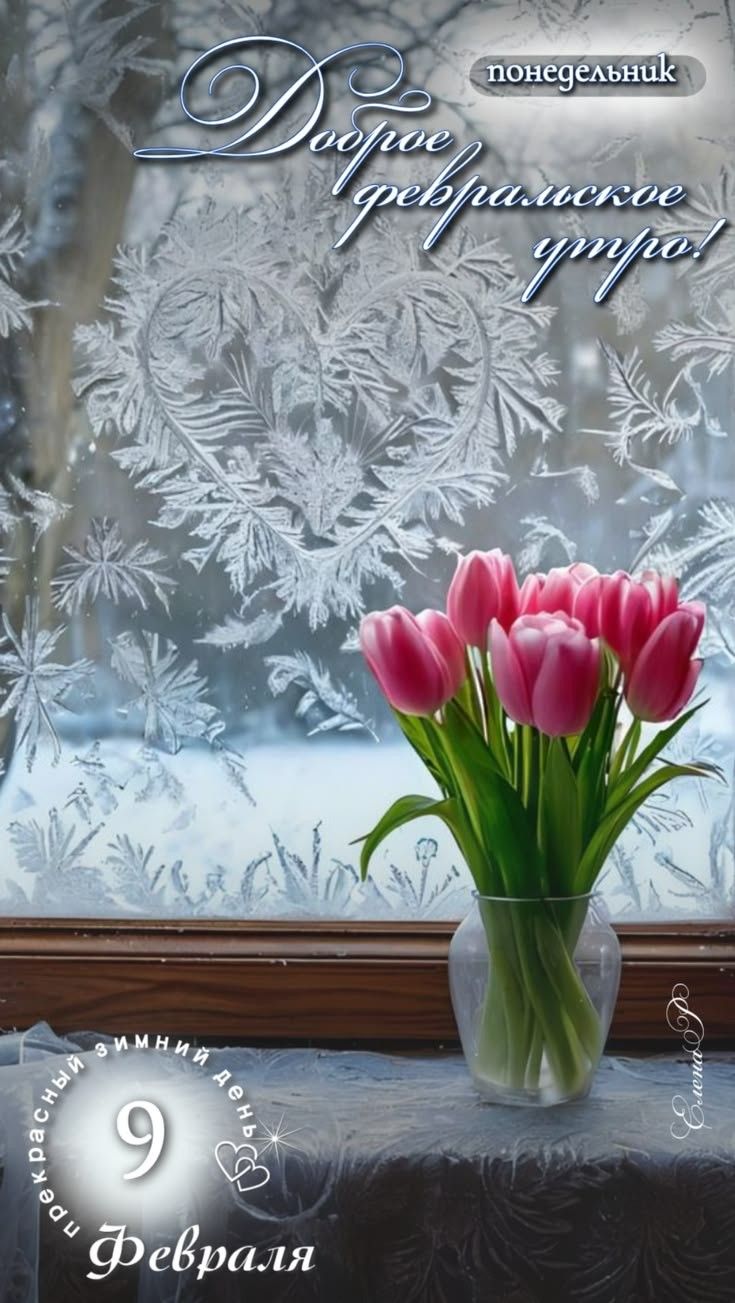 Доброе февральское утро! понедельник 9 Февраля