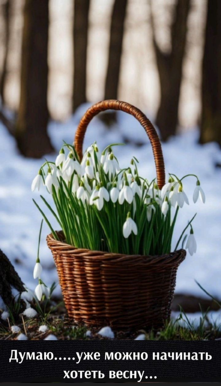 Думаю.....уже можно начинать хотеть весну...