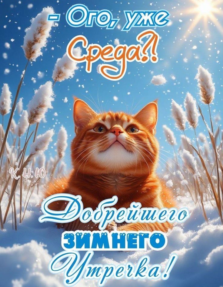 Ого, уже Среда?! Добрейшего зимнего утречка!
