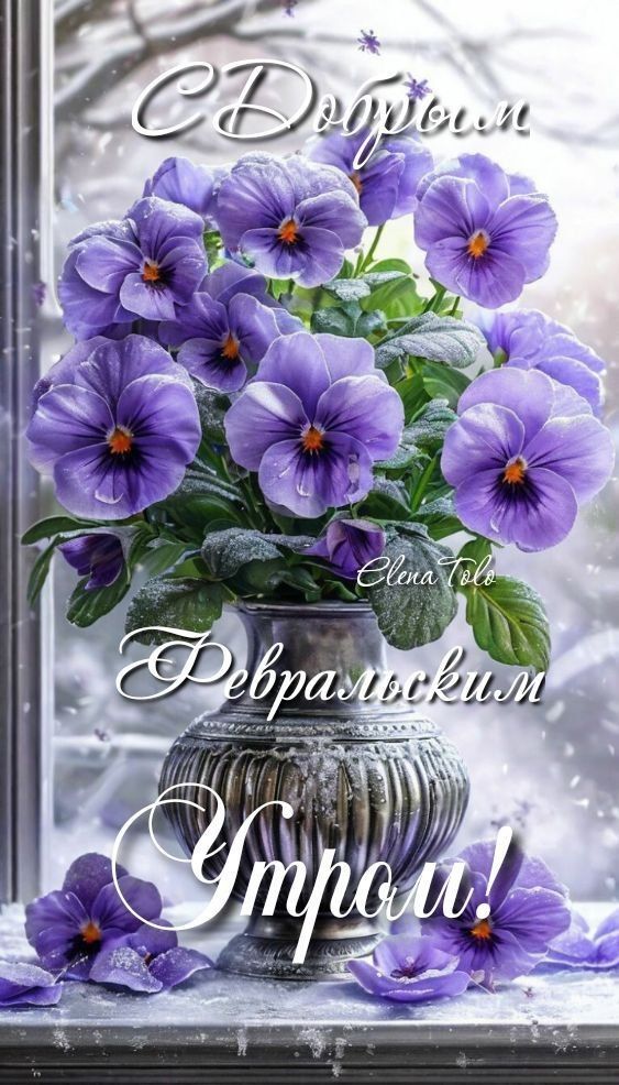 С Добрым Февральским Утром!