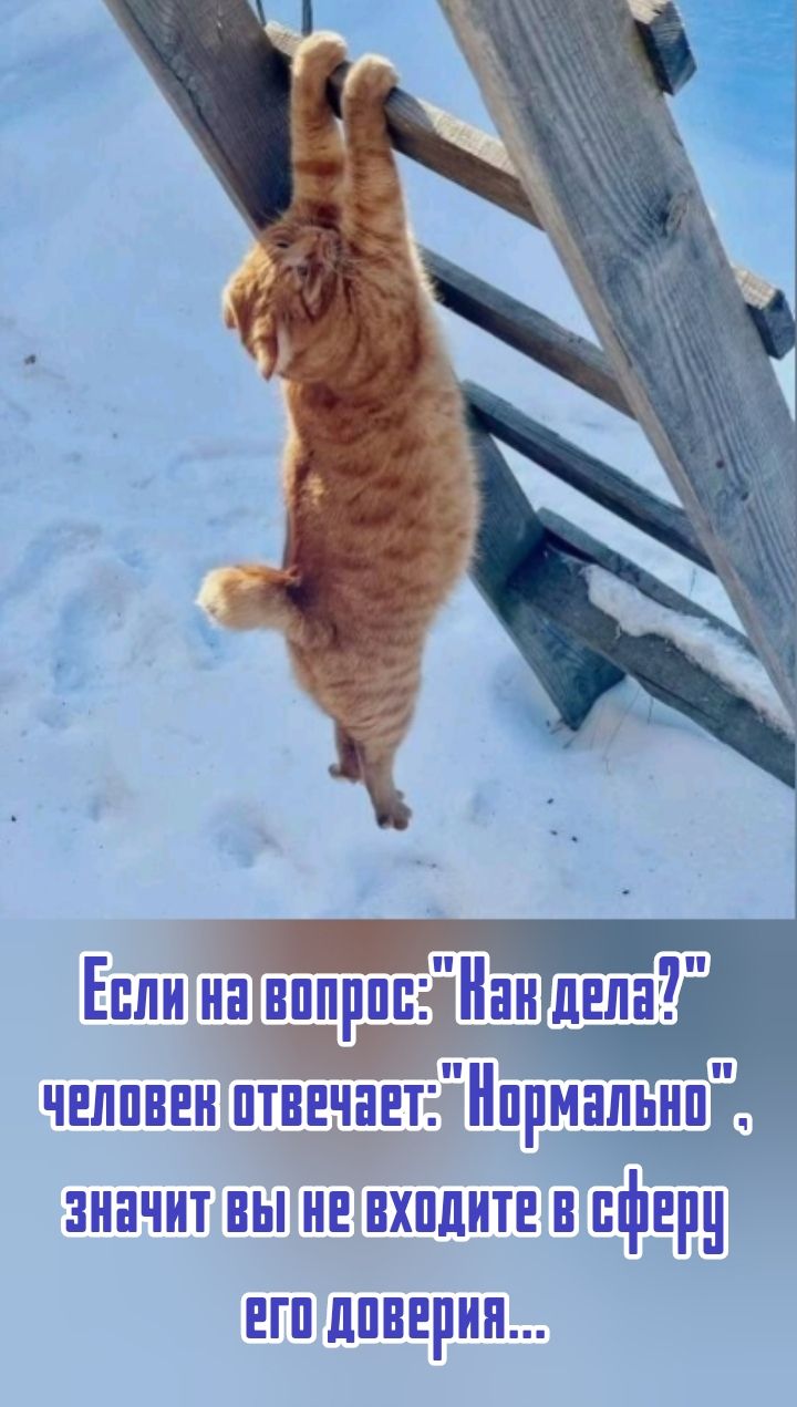 Если на вопрос: 