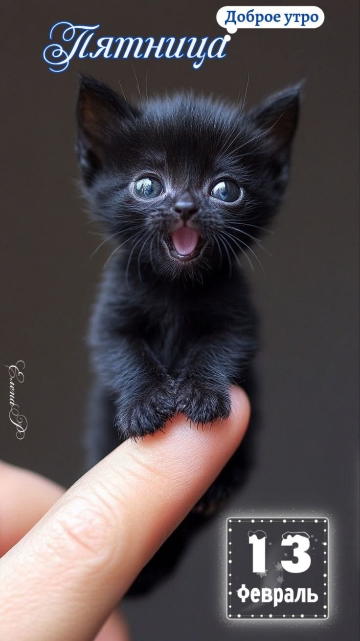 Пятница Доброе утро 13 февраль