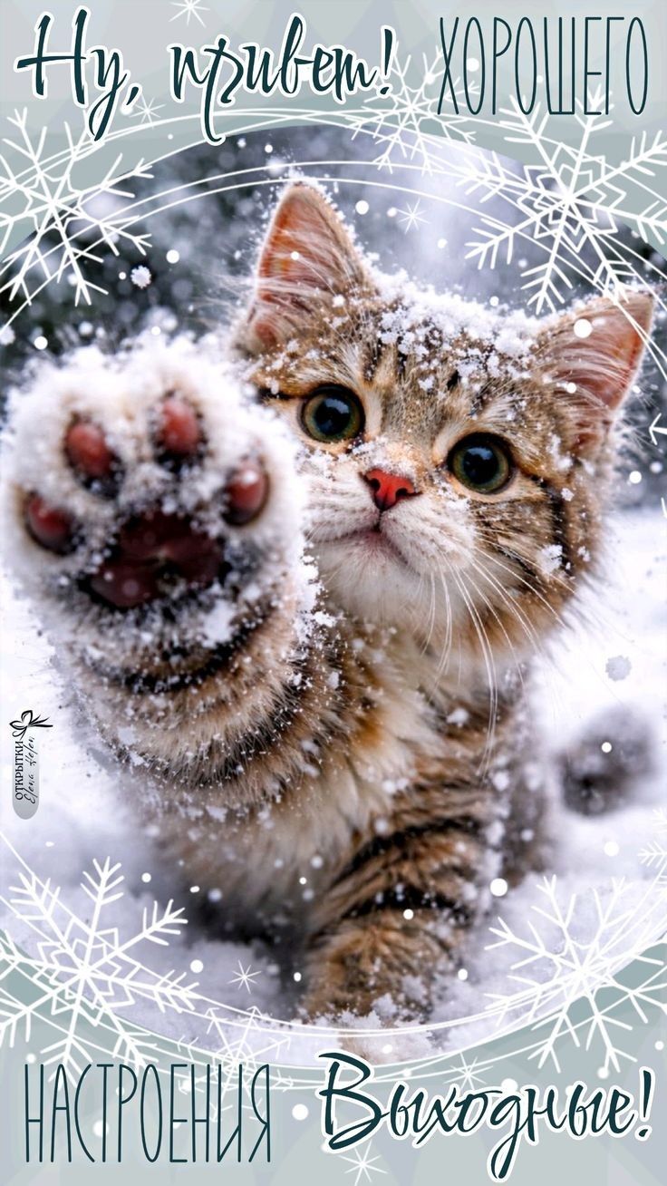 Ну, привет! Хорошего настроения. Выходные!