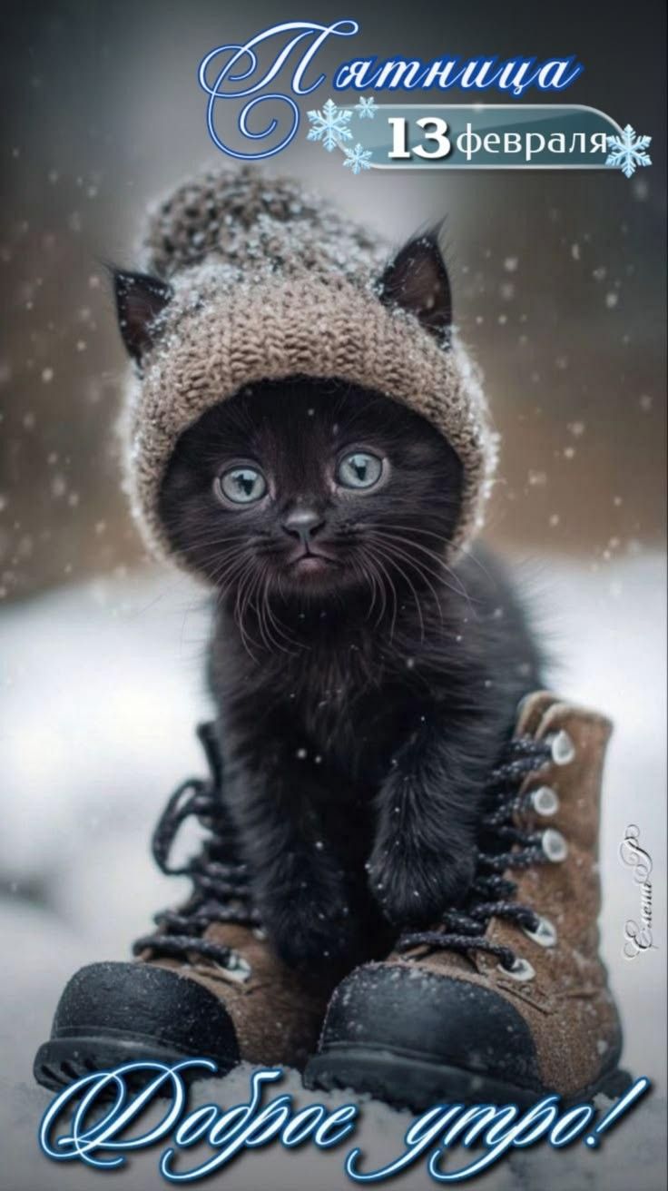 Пятница 13 февраля
Доброe утро!