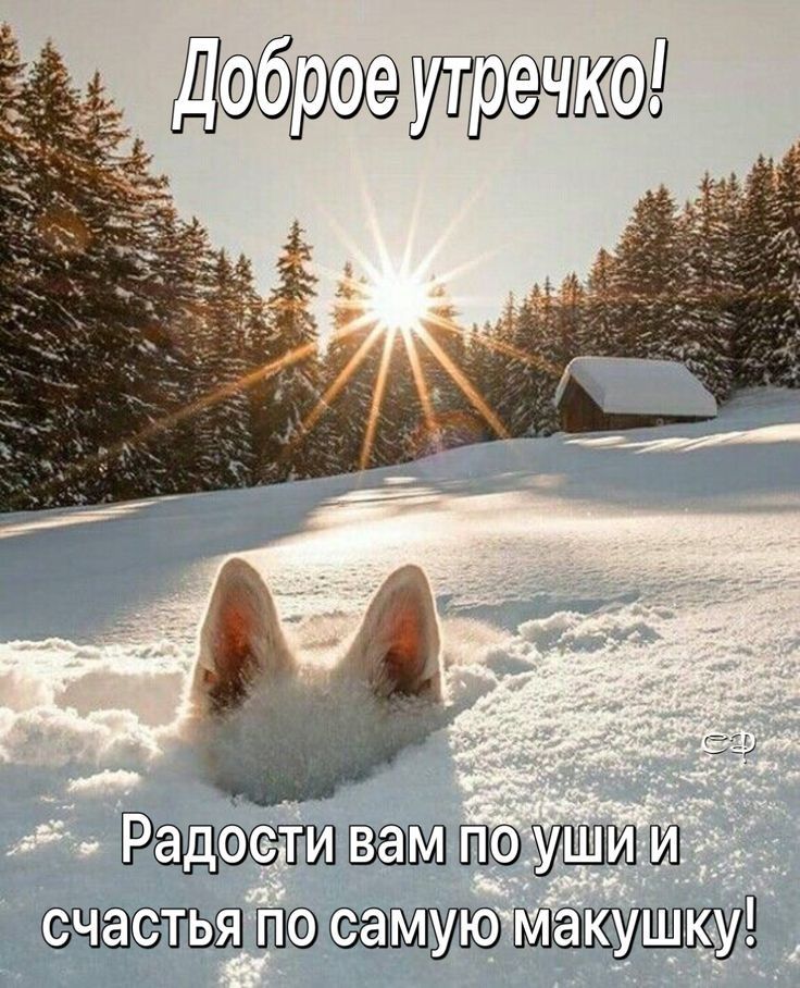 Доброе утречко! Радости вам по уши и счастья по самую макушку!