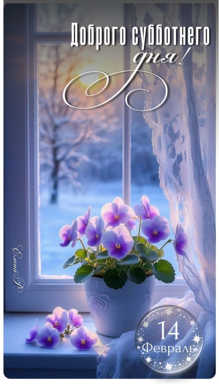 Доброго субботнего дня! 14 Февраль