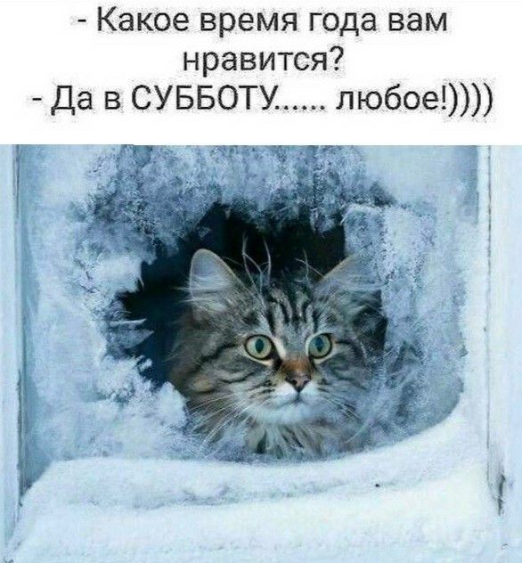 - Какое время года вам нравится? - Да в СУББОТУ...... любое!)