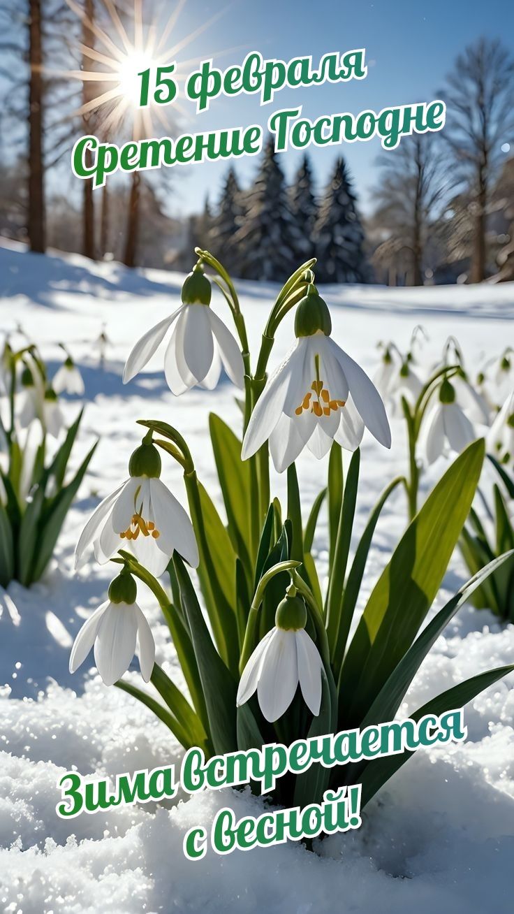 15 февраля Сретение Господне Зима встречается с весной!