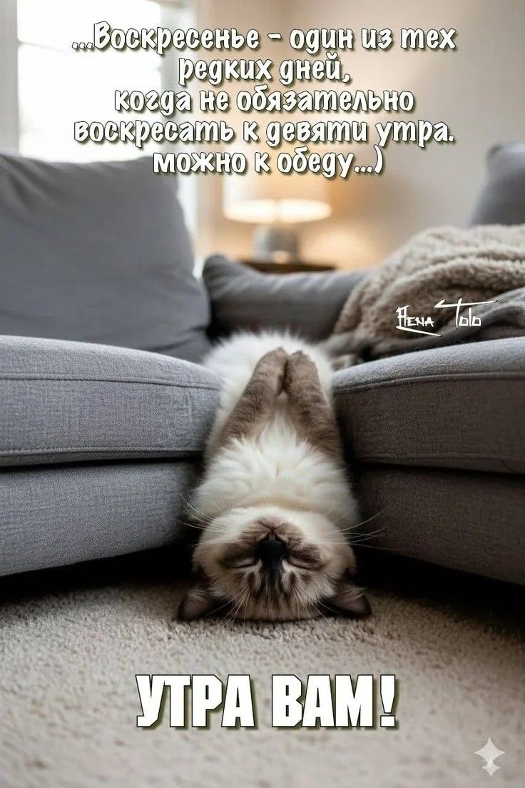 ...Воскресенье - один из тех редких дней, когда не обязательно просыпаться к девяти утра. можно к обеду... УТРА ВАМ!